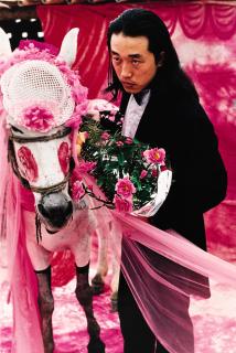 Wang Jin - To Marry A Mule