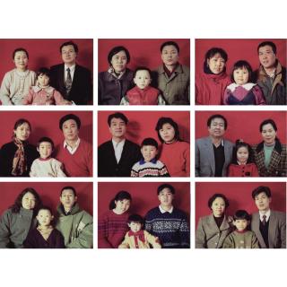 Wang Jinsong - Standard Family Series #2, #3, #4, #6, #7, #8, #9, #15, #18, (9 Works)