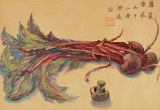 Wang Jiyuan - Beets, 1966