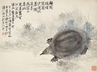 Wang Li - Turtle
