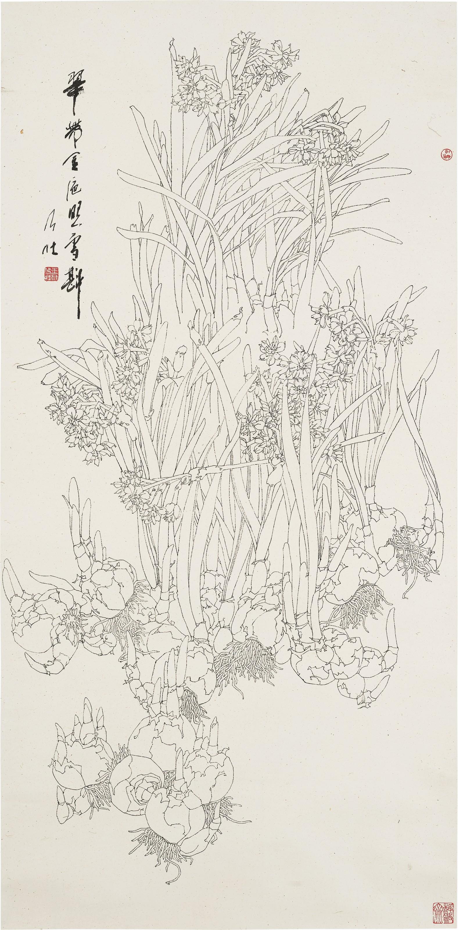 Wang Naizhuang - Narcissus