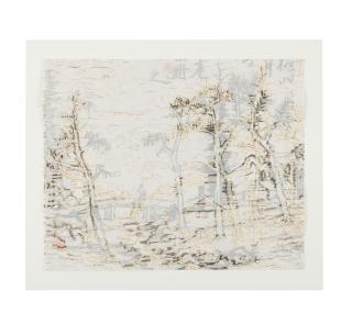 Wang Tiande - Digital Landscape, 2009