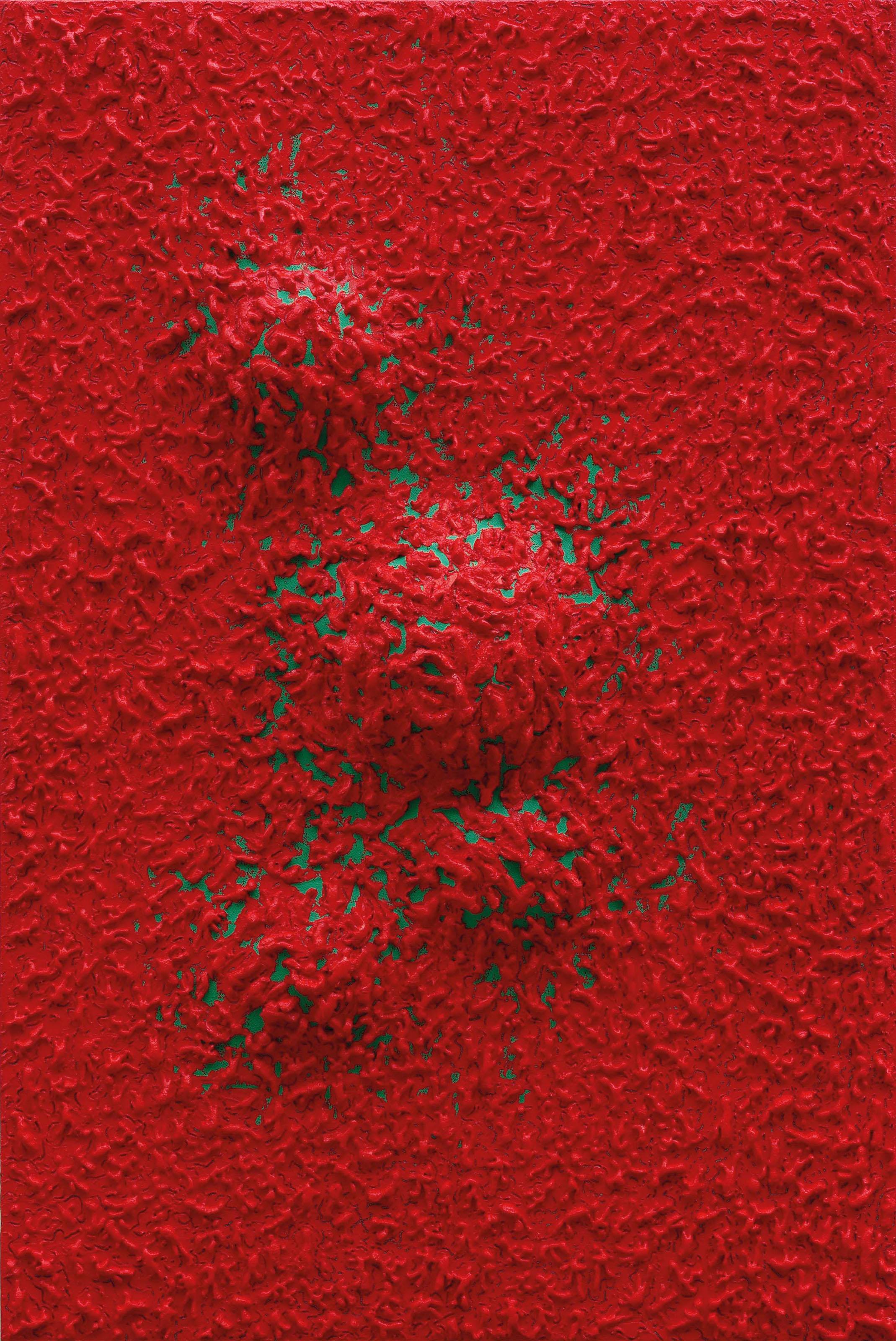 Wang Xiaosong - The Gap of Fusion