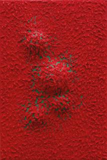 Wang Xiaosong - The Gap of Fusion