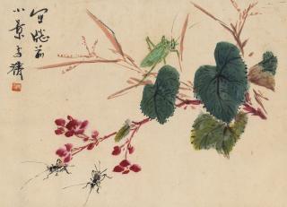 Wang Xuetao - Flowers And Insects