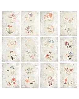 Wang Xuetao - Flowers, Insects and Birds