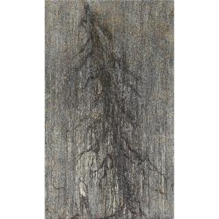 Wang Yabing - Fortune Teller And His Tree