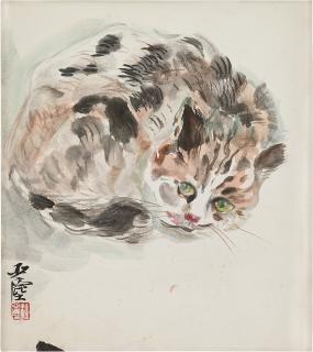 Wang Yachen - Cat