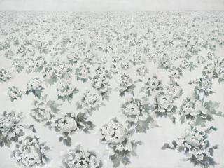 Wang Yin - Flowers