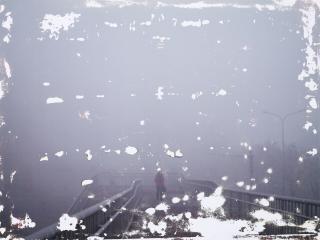 Wang Youshen - Washing • National Park 1