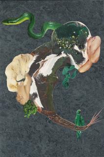 Wangechi Mutu - Girl Specimen Iv
