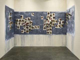 Wangechi Mutu - Moth Collection