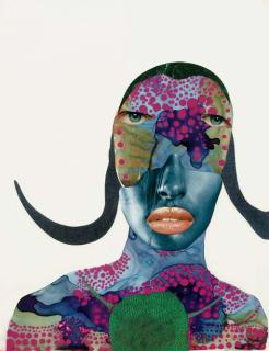 Wangechi Mutu - Untitled