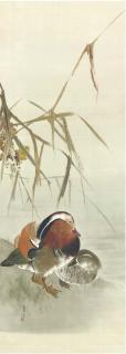Watanabe Seitei - Kare Ashi To Oshidori (Mandarin Ducks And Drying Reeds)