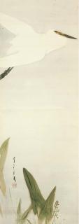 Watanabe Seitei - Rokugatsu Sagi To Kohone (June Egret)