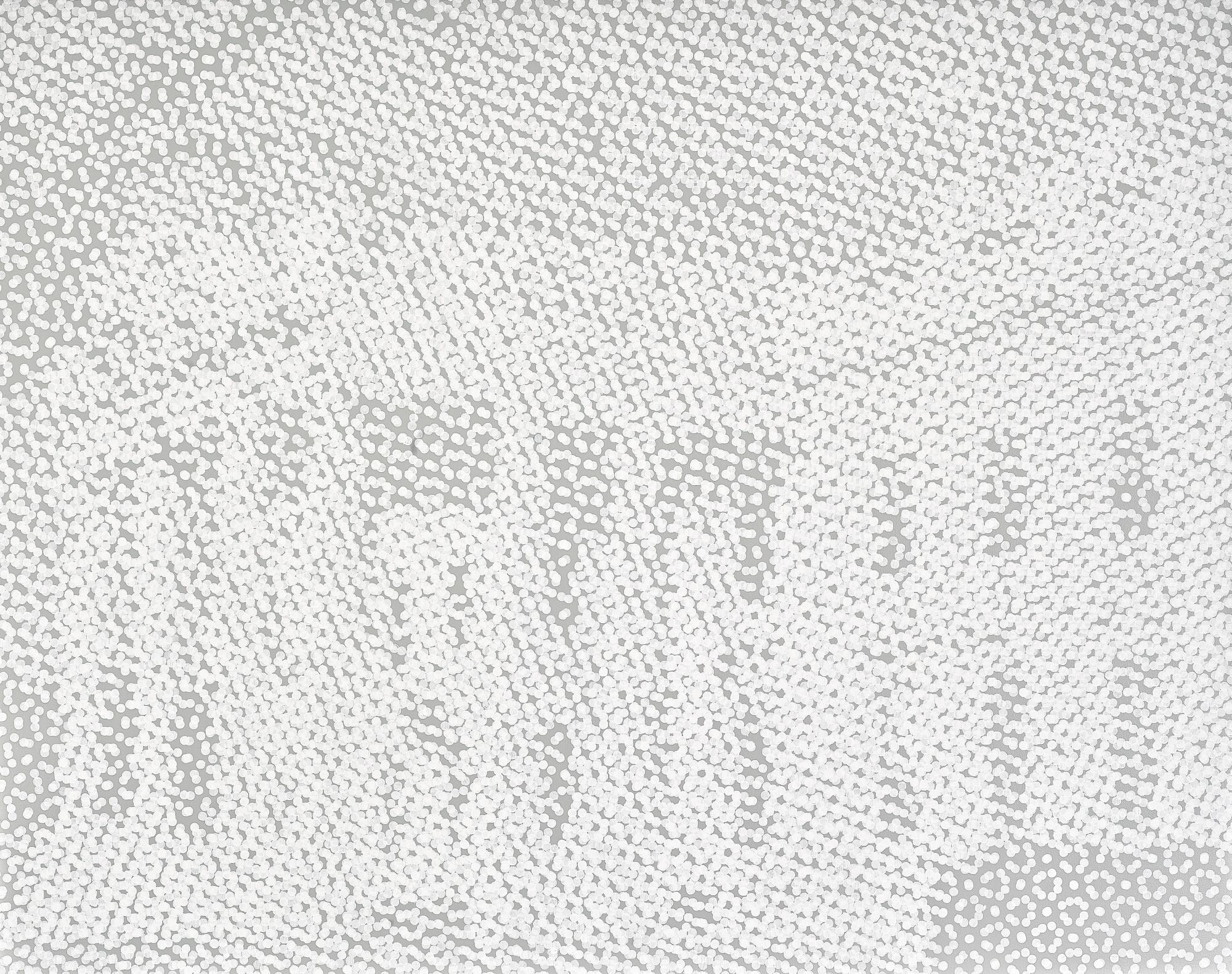 Wayne Gonzales - Untitled (White House - Silver)