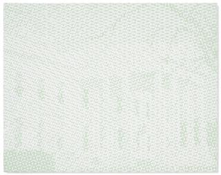 Wayne Gonzales - Untitled