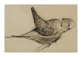 Wayne Thiebaud - Parakeet