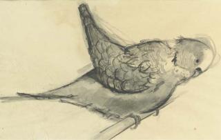 Wayne Thiebaud - Parakeet