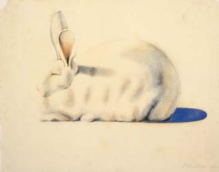 Wayne Thiebaud - Rabbit