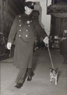 Weegee - Under Arrest, c. 1940