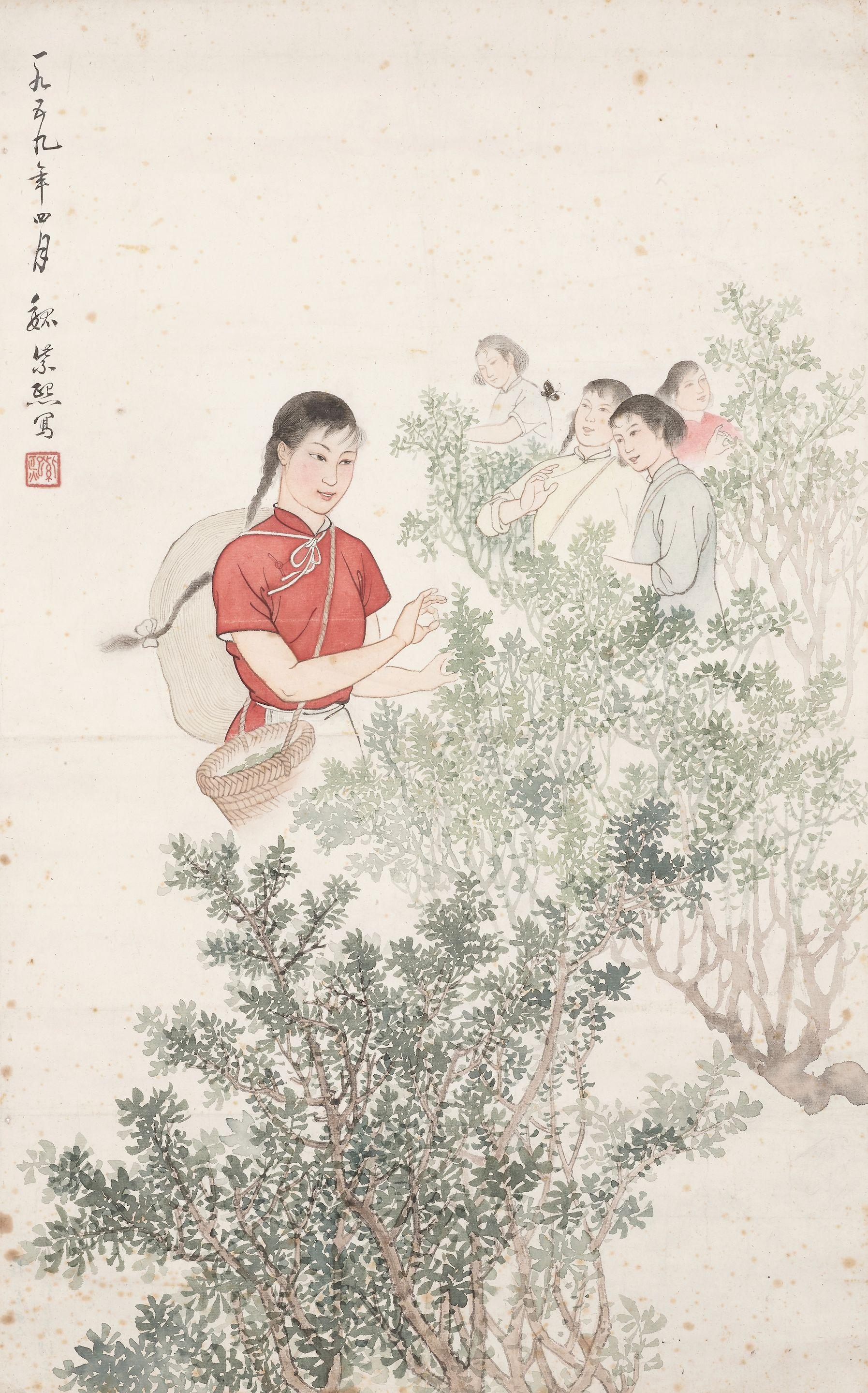 Wei Zixi - Tea Plucking