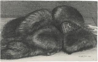 Wenceslas Hollar - A Fur Muff With A Band Of Brocade (Pennington 1950)