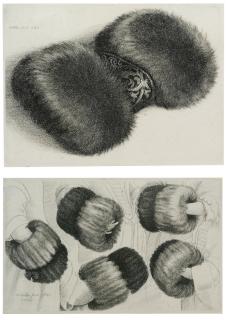 Wenceslaus Hollar - A dark Fur Muff; A Muff in five Views (Parthey 1946, 1952)