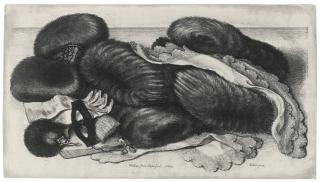 Wenceslaus Hollar - A Group Of Muffs (Pennington 1951)