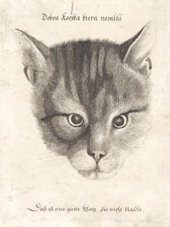 Wenceslaus Hollar - Head Of A Cat