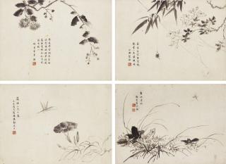 Weng Luo - Flowers and Insects