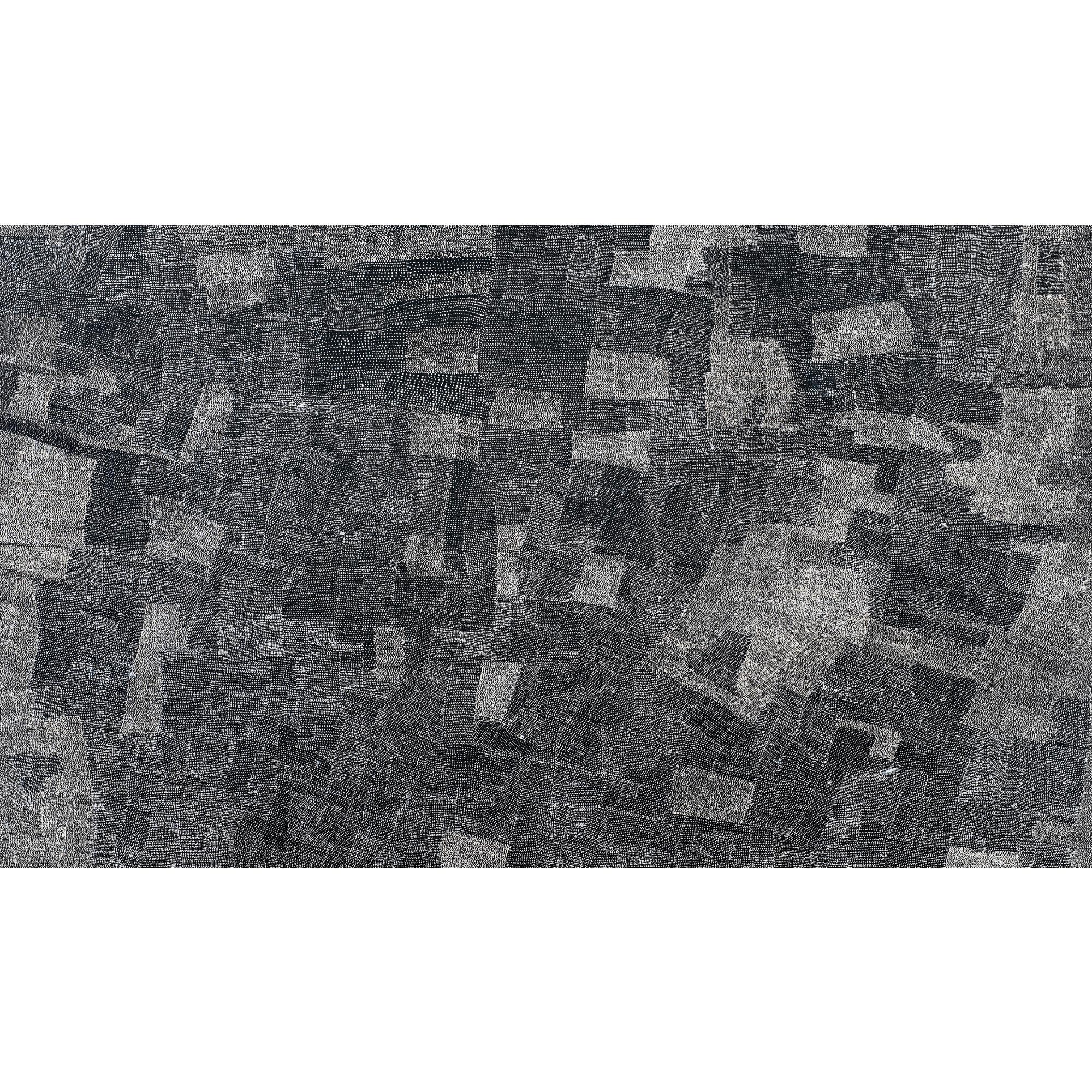 Wentja Napaltjarri - Sandhills