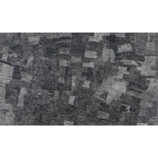 Wentja Napaltjarri - Sandhills