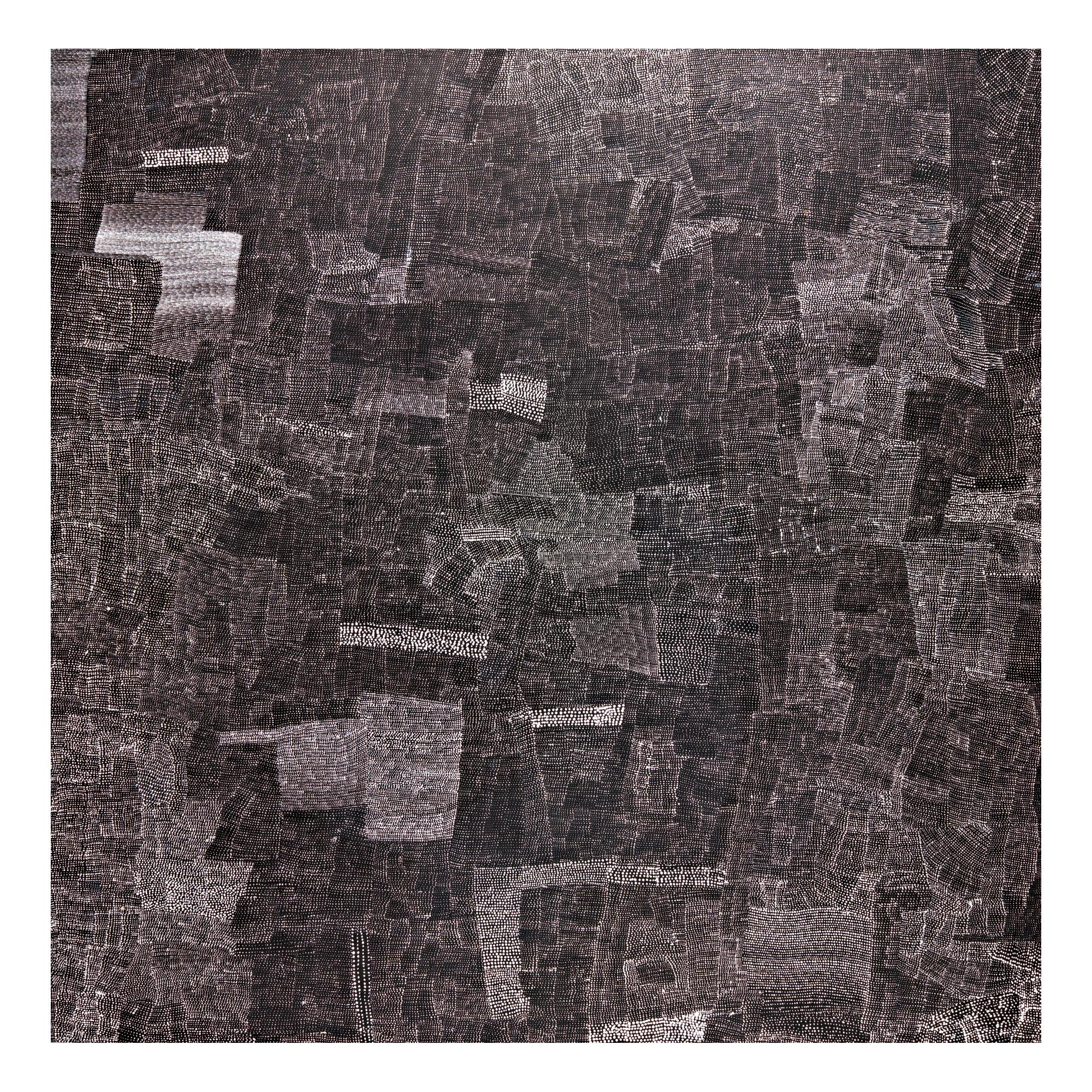 Wentja Napaltjarri - Untitled