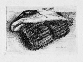 Wenzel Hollar - 3 Bll.: Muff, Tuch und Maske – Bologneserhündchen – Schuhu’s