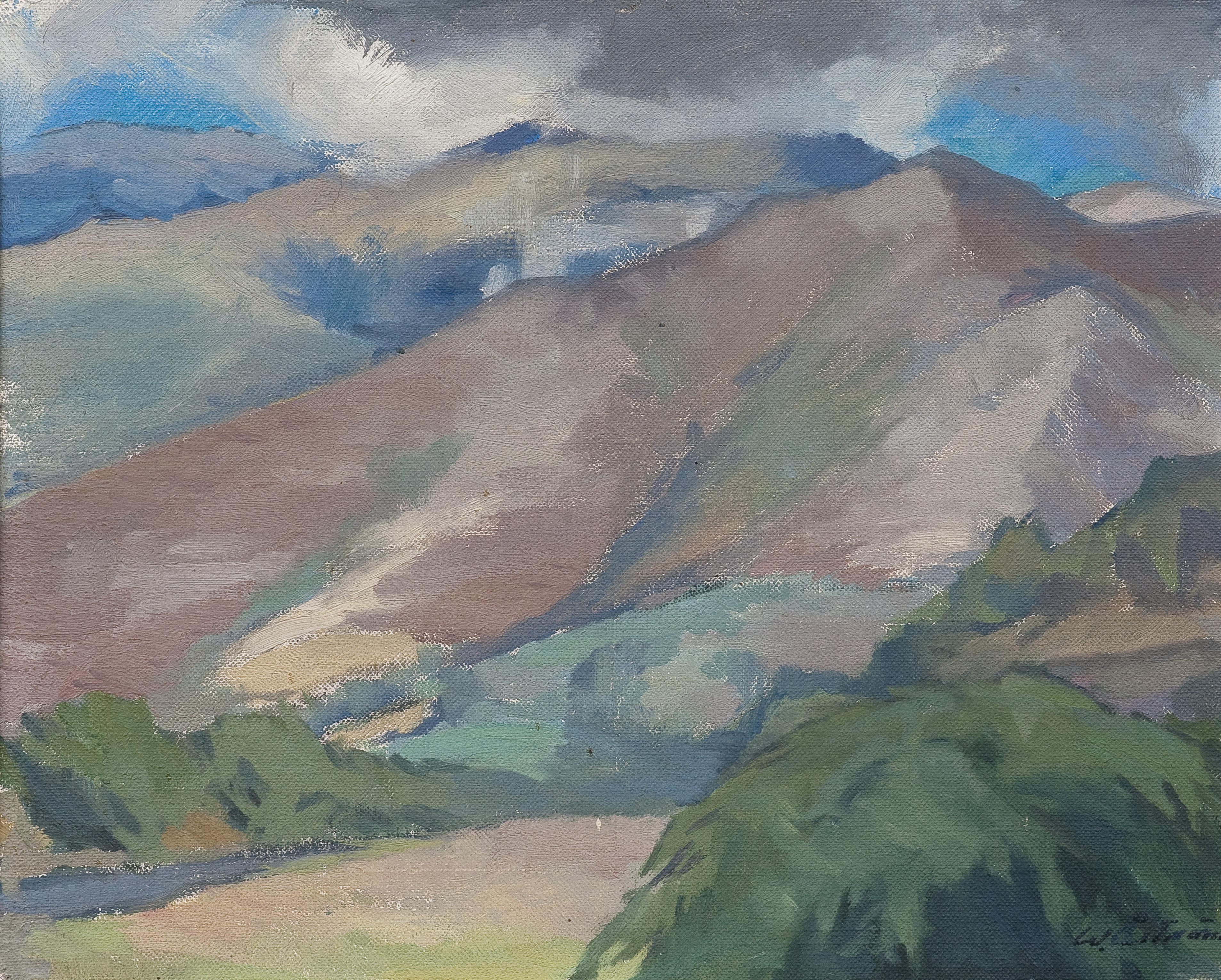 Werner Åström - Mountain View.