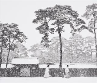 Werner Bischof - In the Court of the Meiji Temple, Tokyo, Japan