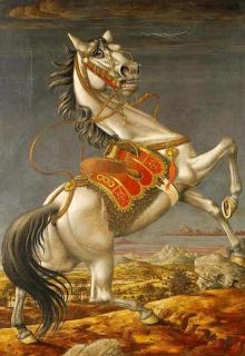 Werner Peiner - Steigender Schimmel