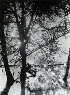 Werner Rohde - Paris