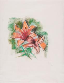 Werner Scholz - Amaryllis.