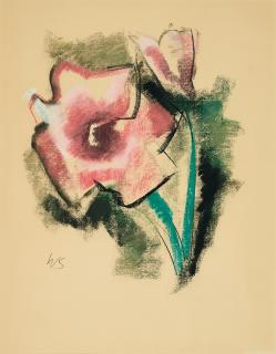 Werner Scholz - Anemone.