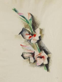 Werner Scholz - Gladiolen