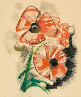 Werner Scholz - Mohn.