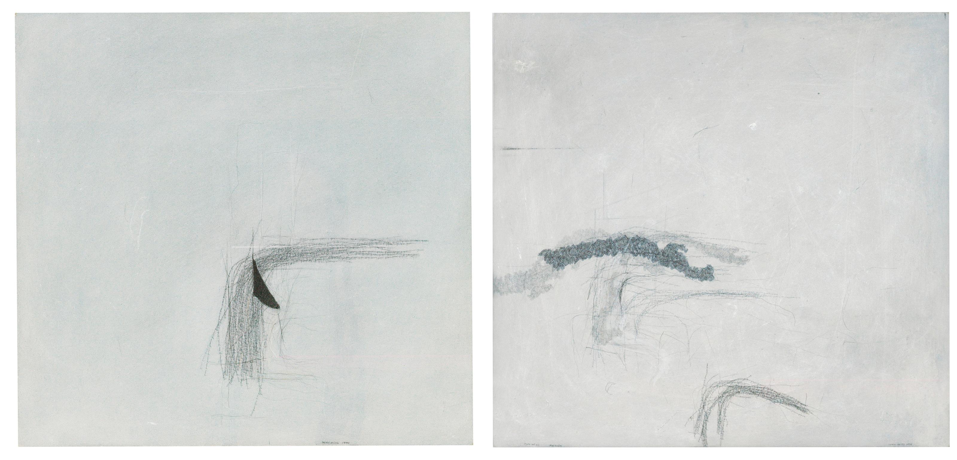 Wes Mills - Like the pattern that evolves from repetition, not the visual pattern but a pattern of form & Two of Us / A Broken Twig / My Body (Two Works)