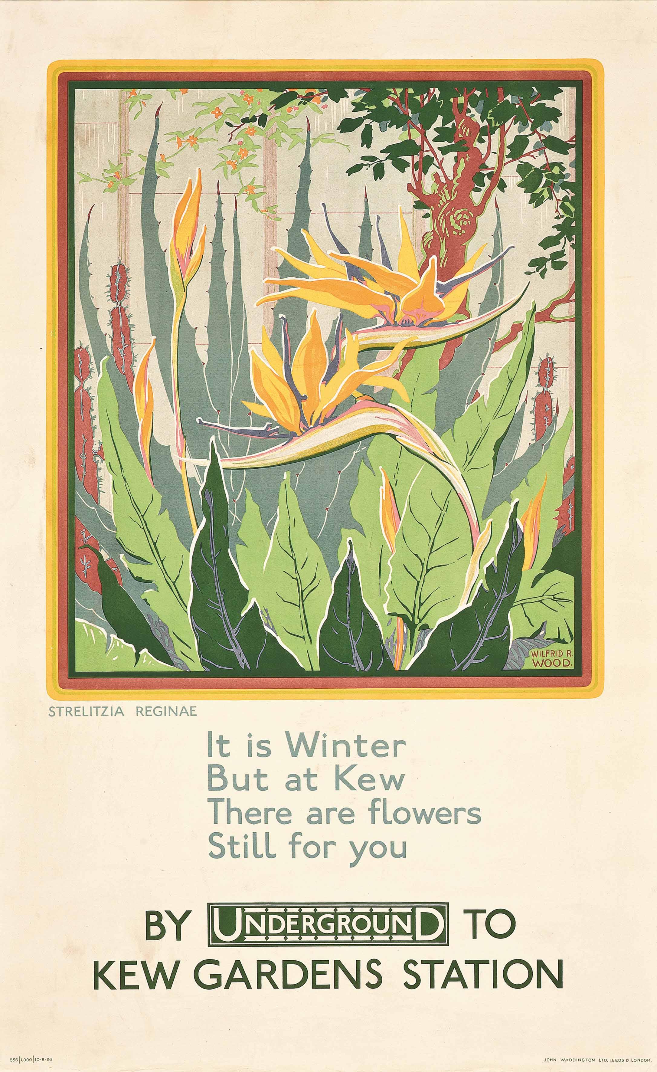 Wilfrid Rene Wood - Kew Gardens