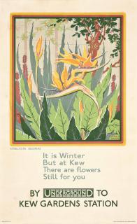 Wilfrid Rene Wood - Kew Gardens