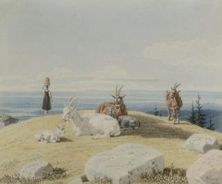 Wilhelm Alexander Wolfgang von Kobell - Goats on a hilltop