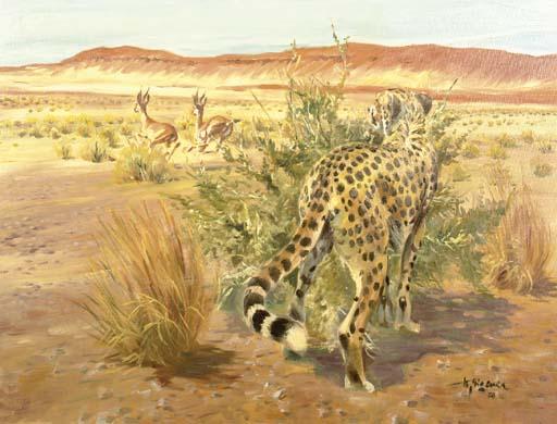 Wilhelm Eigener - Cheetah