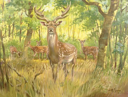 Wilhelm Eigener - Fallow Deer