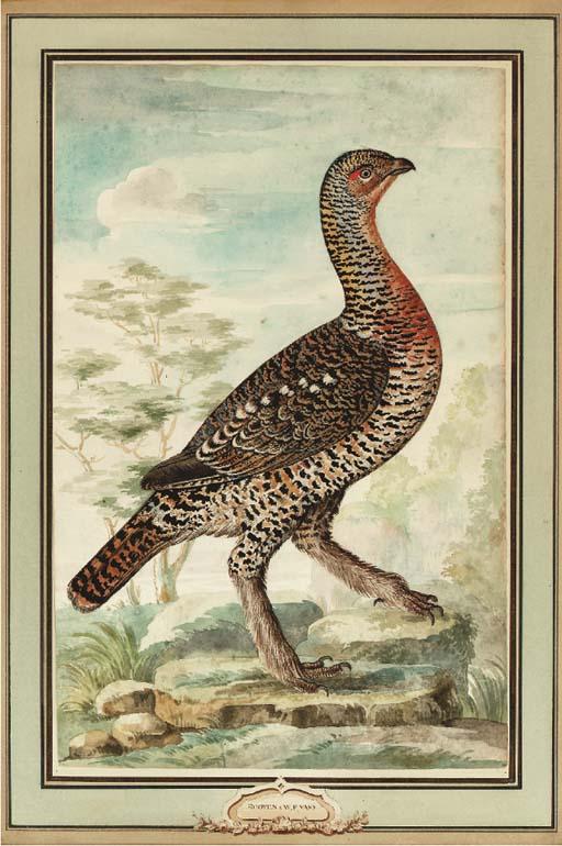 Wilhelm Frederik Van Royen - A fanciful bird in a landscape